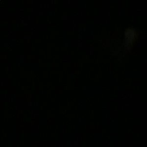 Meet your Posher, Vincent